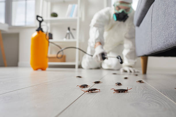 Commercial Kitchen Cockroach Control in Shingle Springs